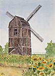 Windmühle Windmühle