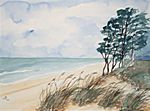Darss Weststrand Darss Weststrand