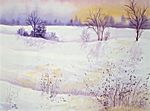 Winterwiese Winterwiese