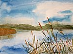 Am See Am See