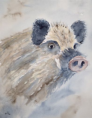 Wildschwein